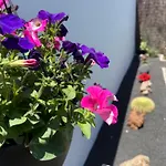 Apartmán Casa Cira *