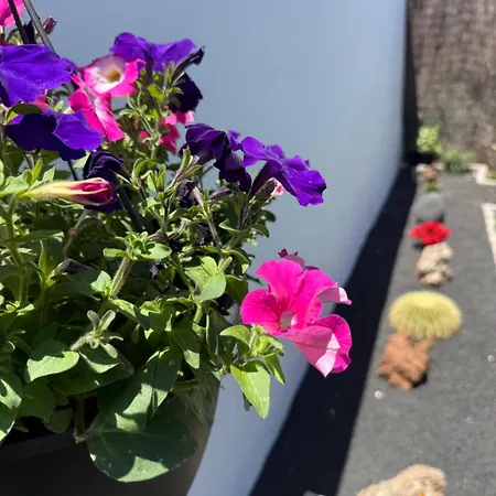 Lejlighed Casa Cira *