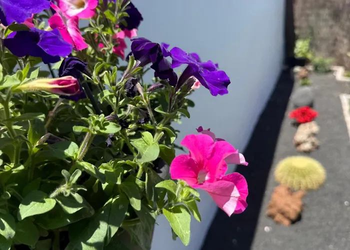 Apartamento Casa Cira *